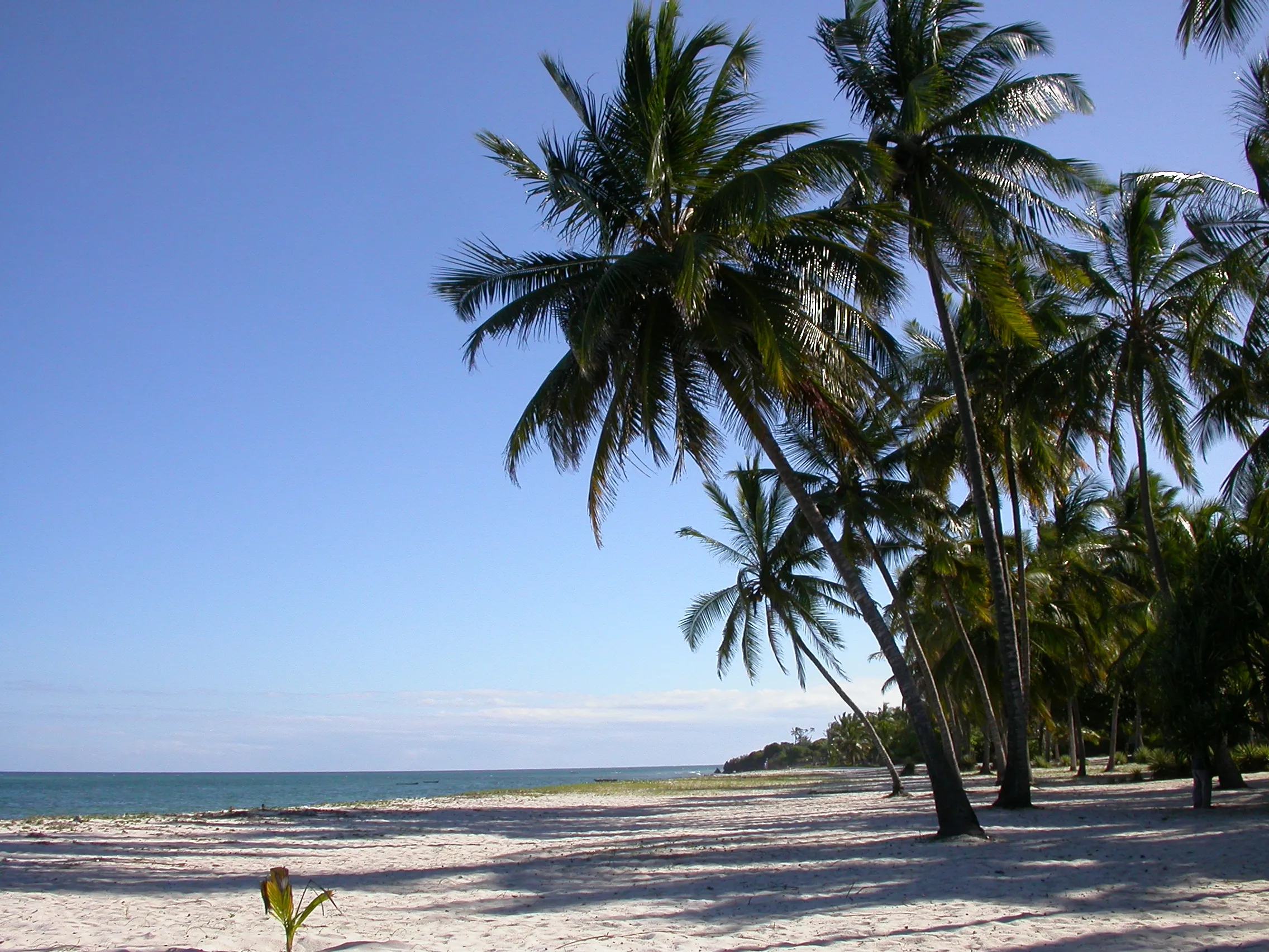 Tiwi plage, vers Mombasa, Kenya