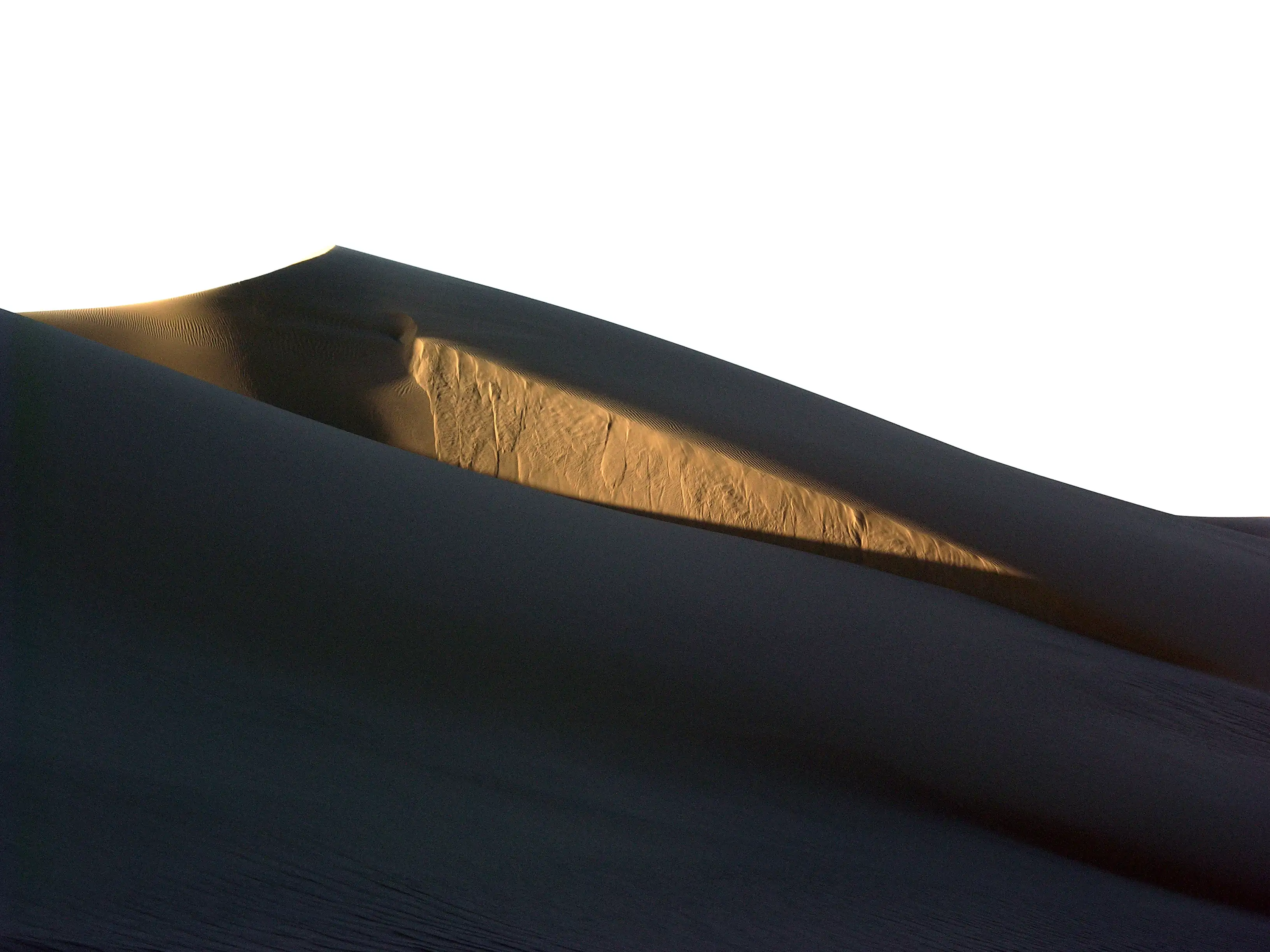 dune noire