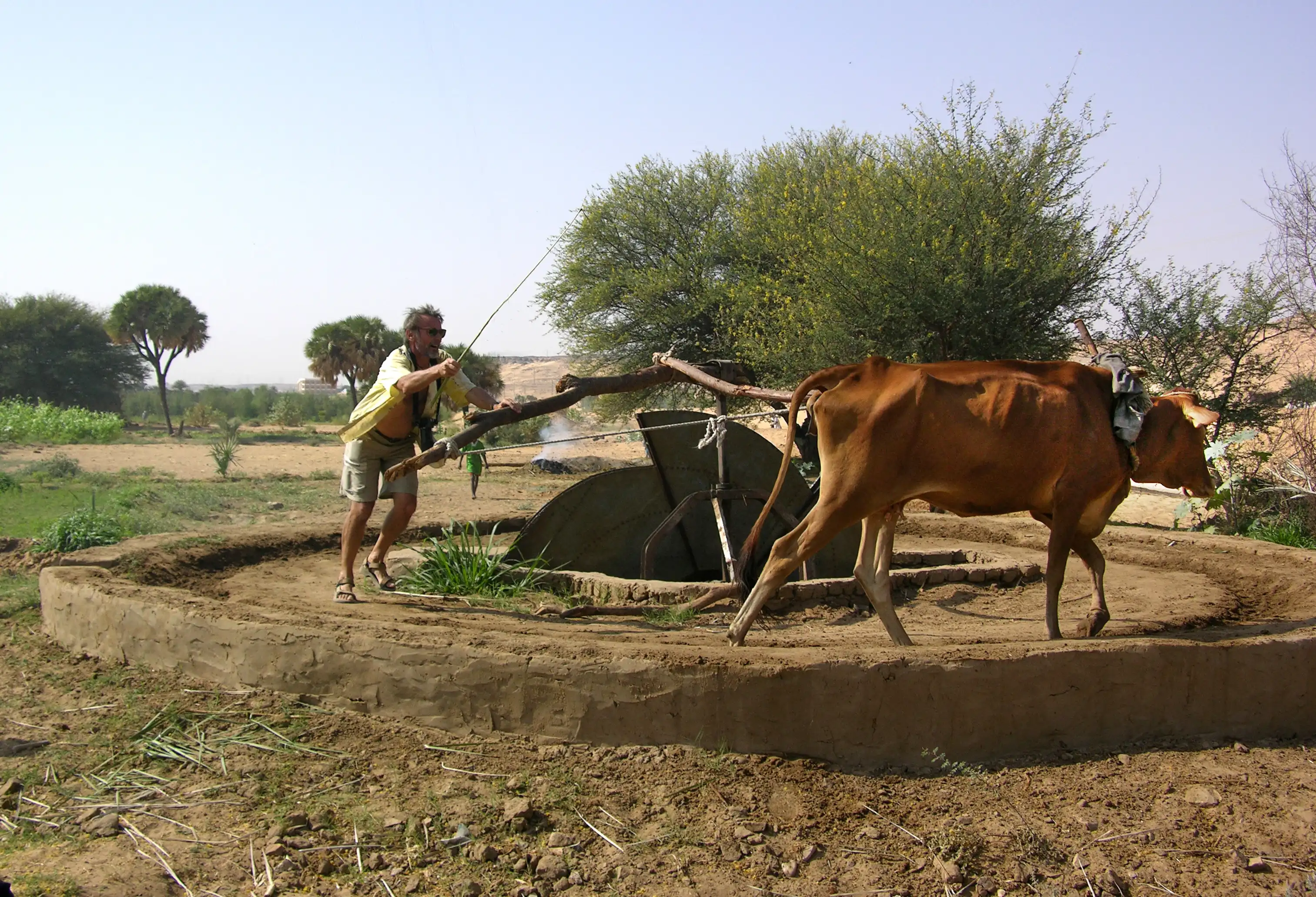 irrigation