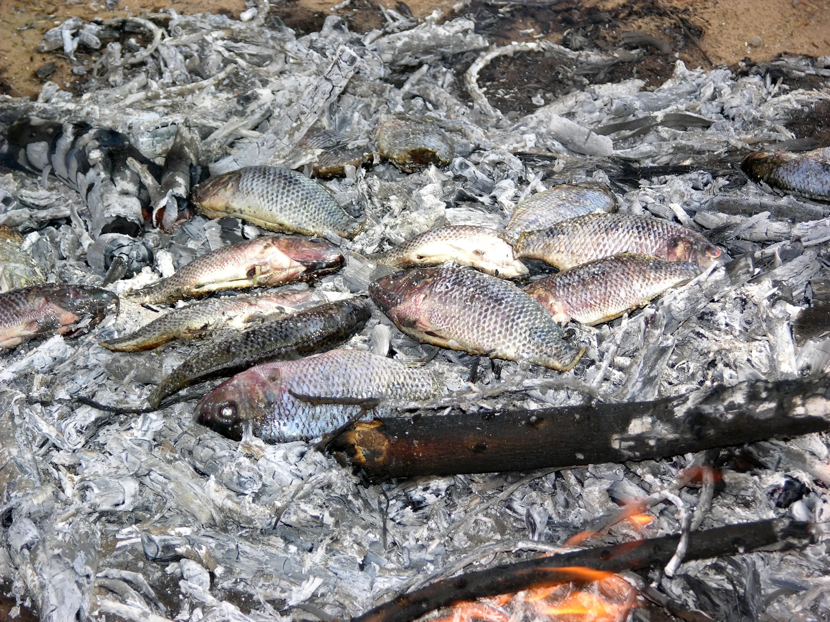barbeuq´