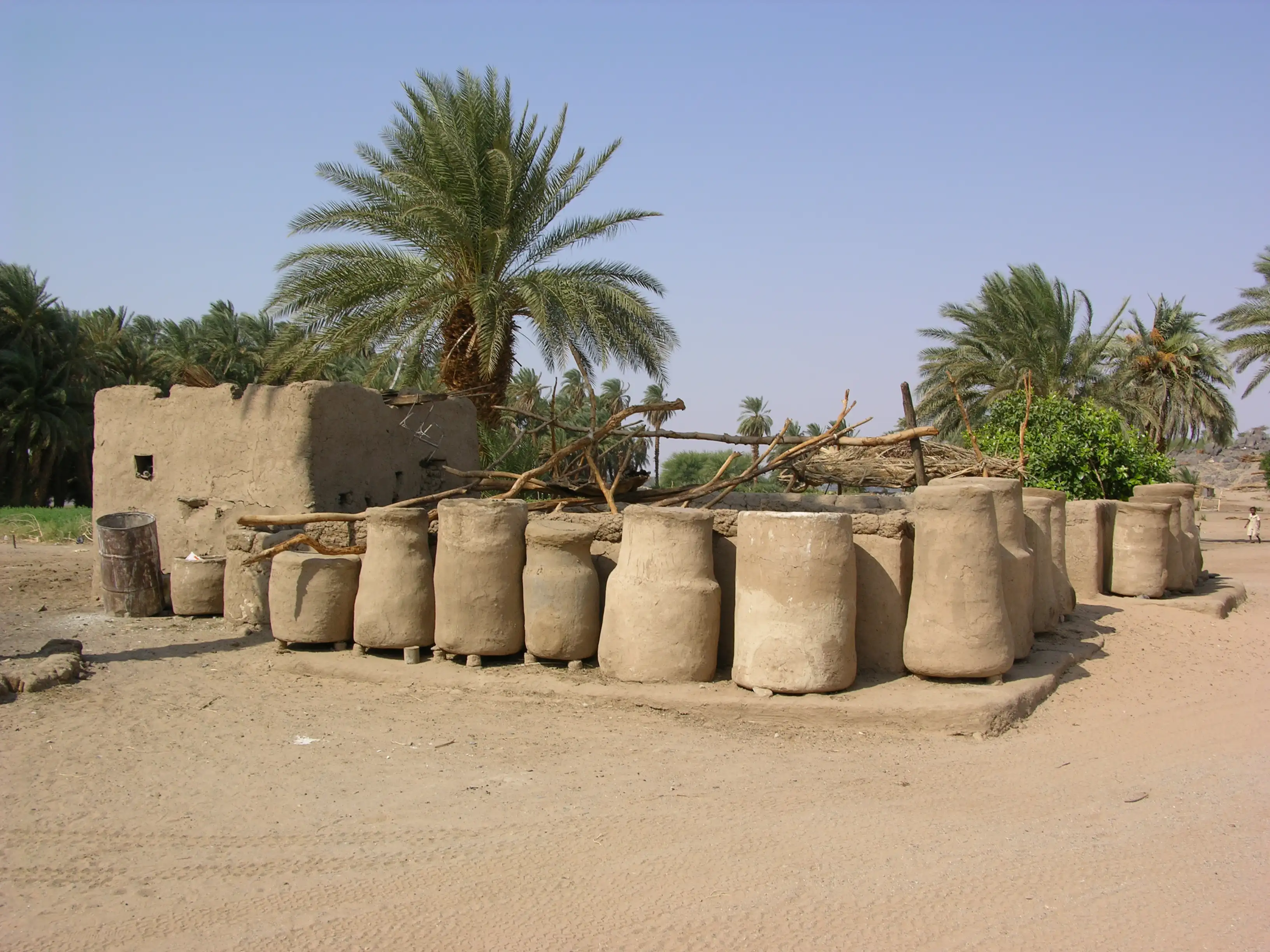 réserves de dattes