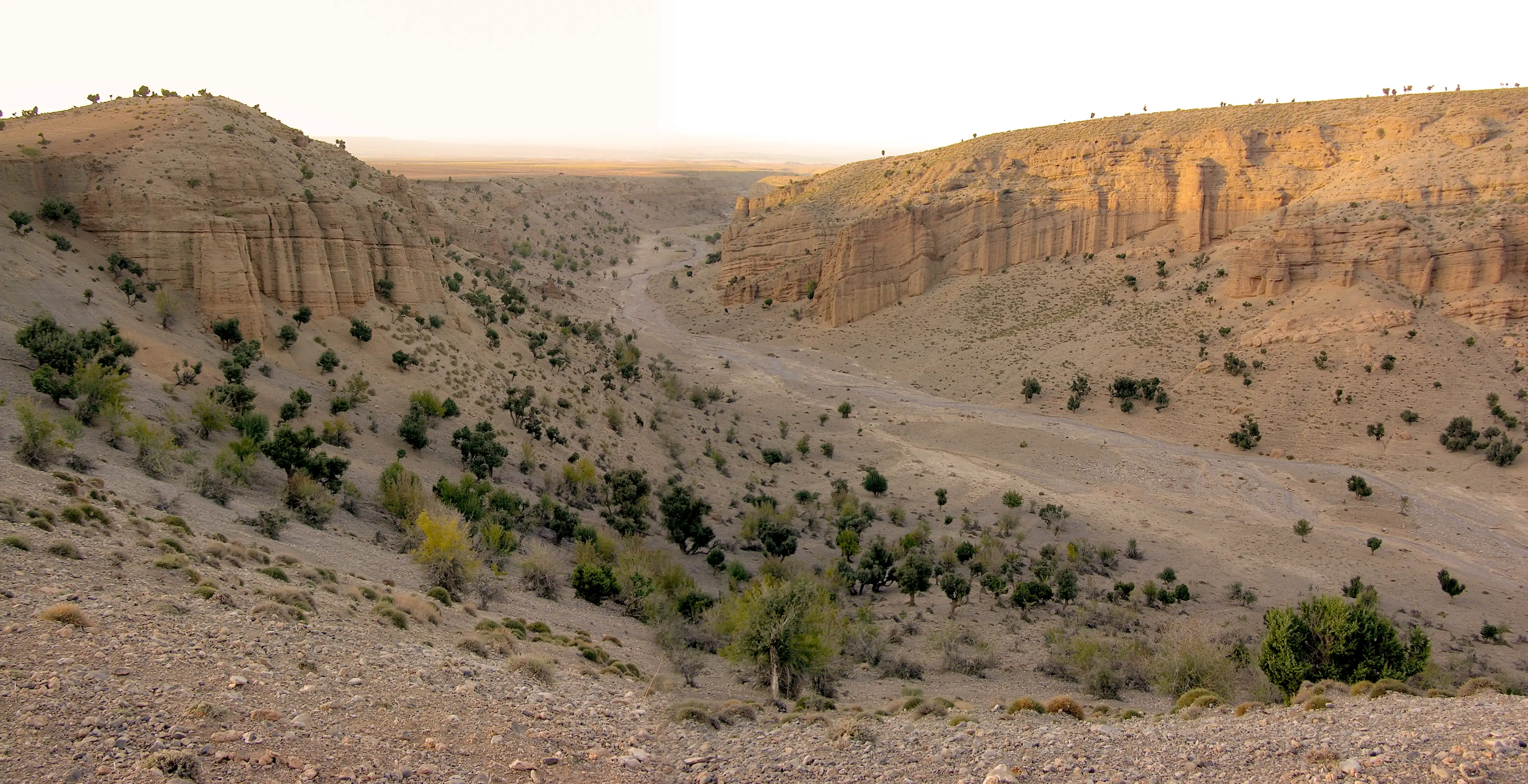 le canyon de Jaafar