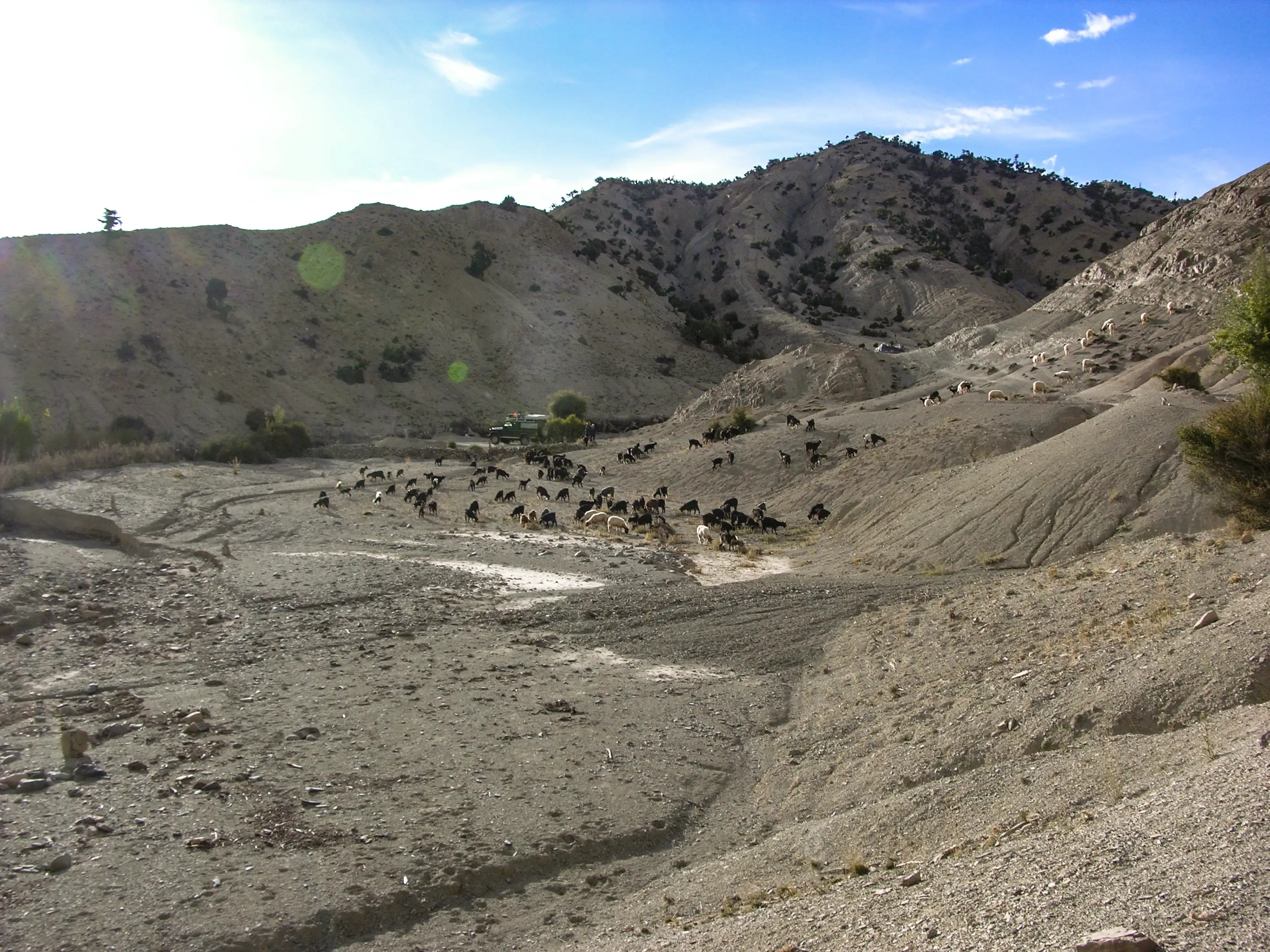 djebel Hayashi
