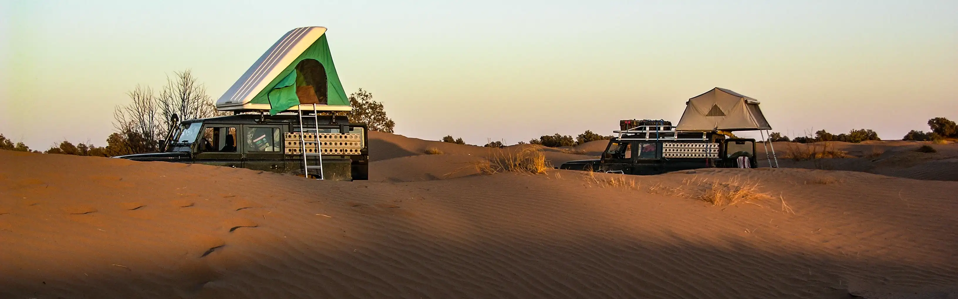 visite au bivouac