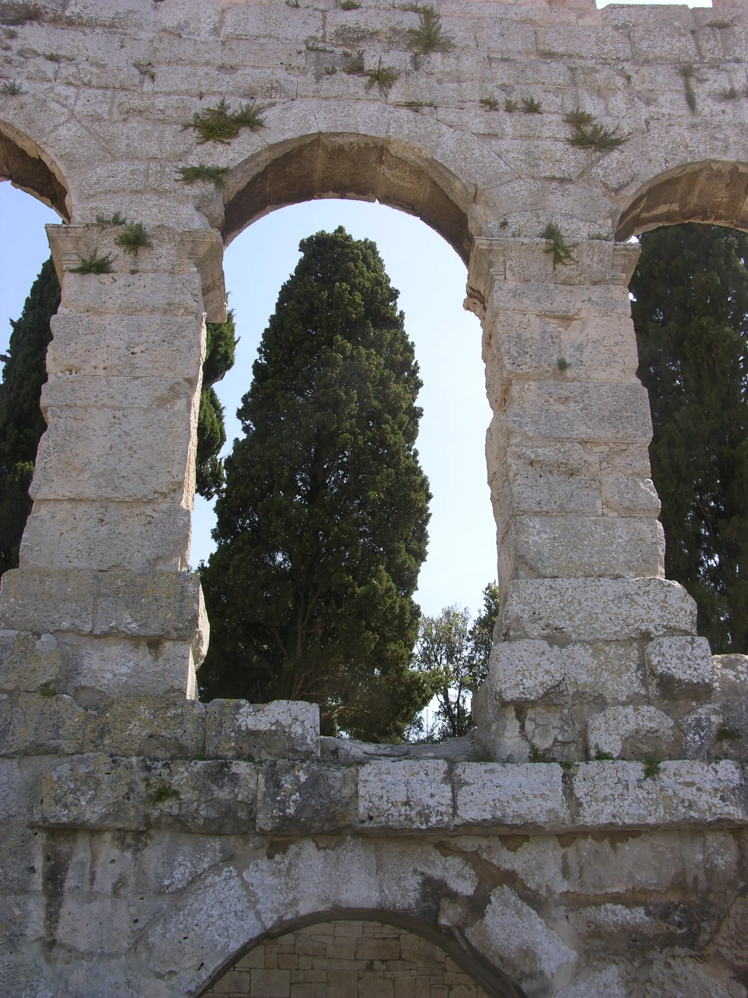 Slider Image 80