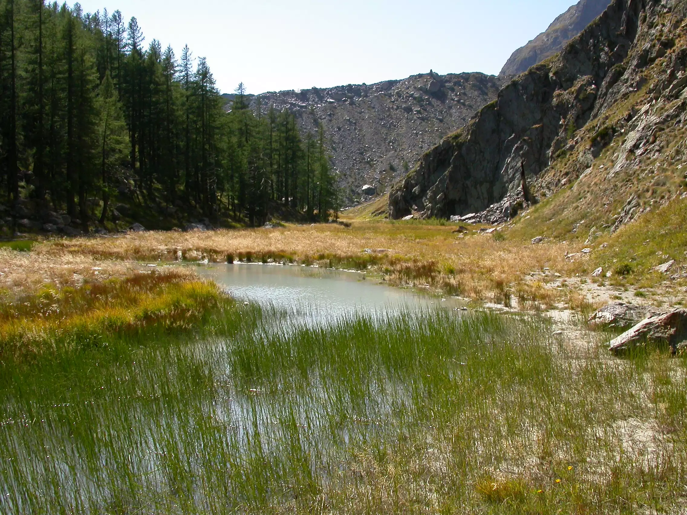 la vallée « étouffée » par la moraine de Miage