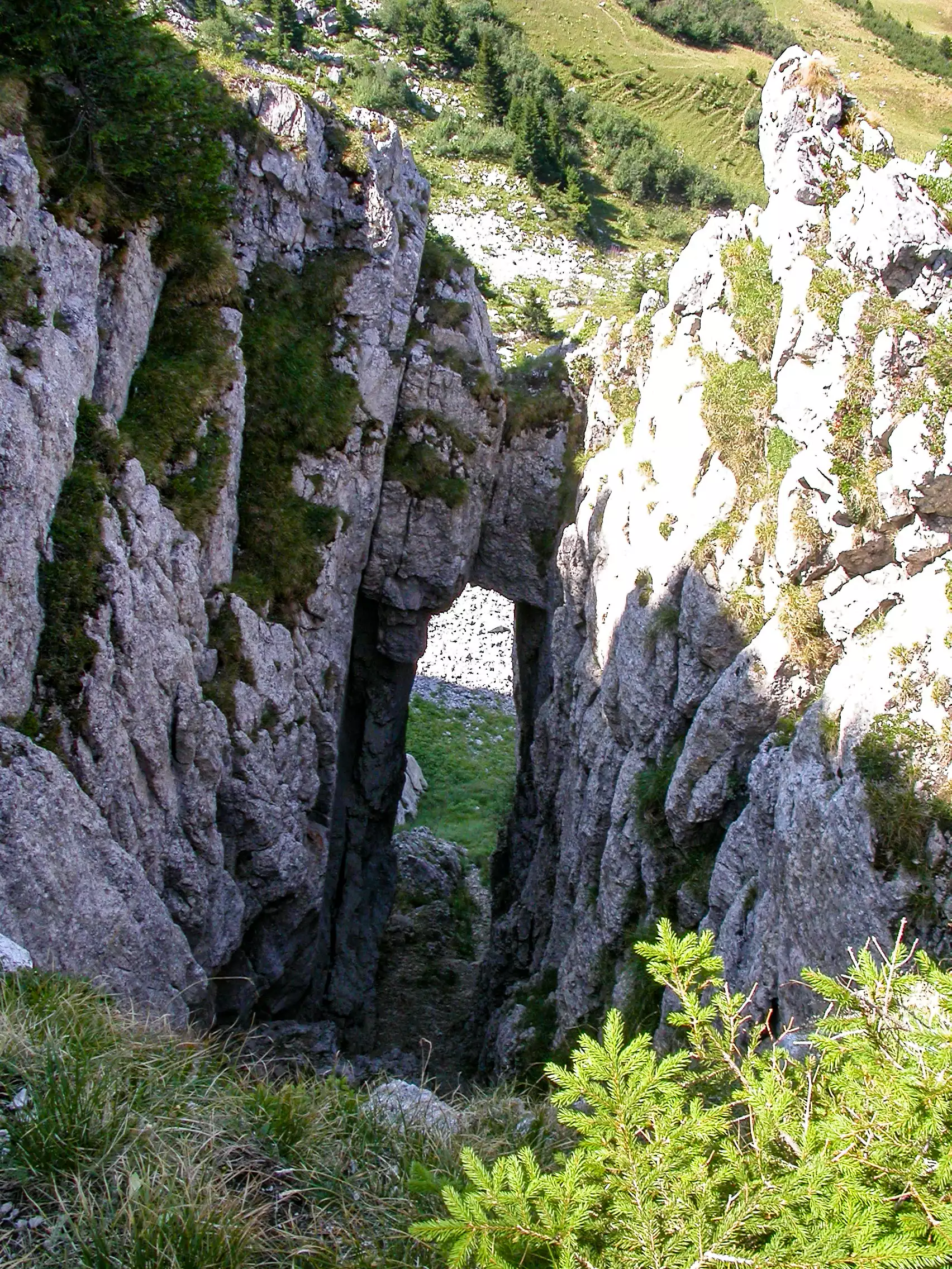 Montée au Col de Sosay, depuis Cenise