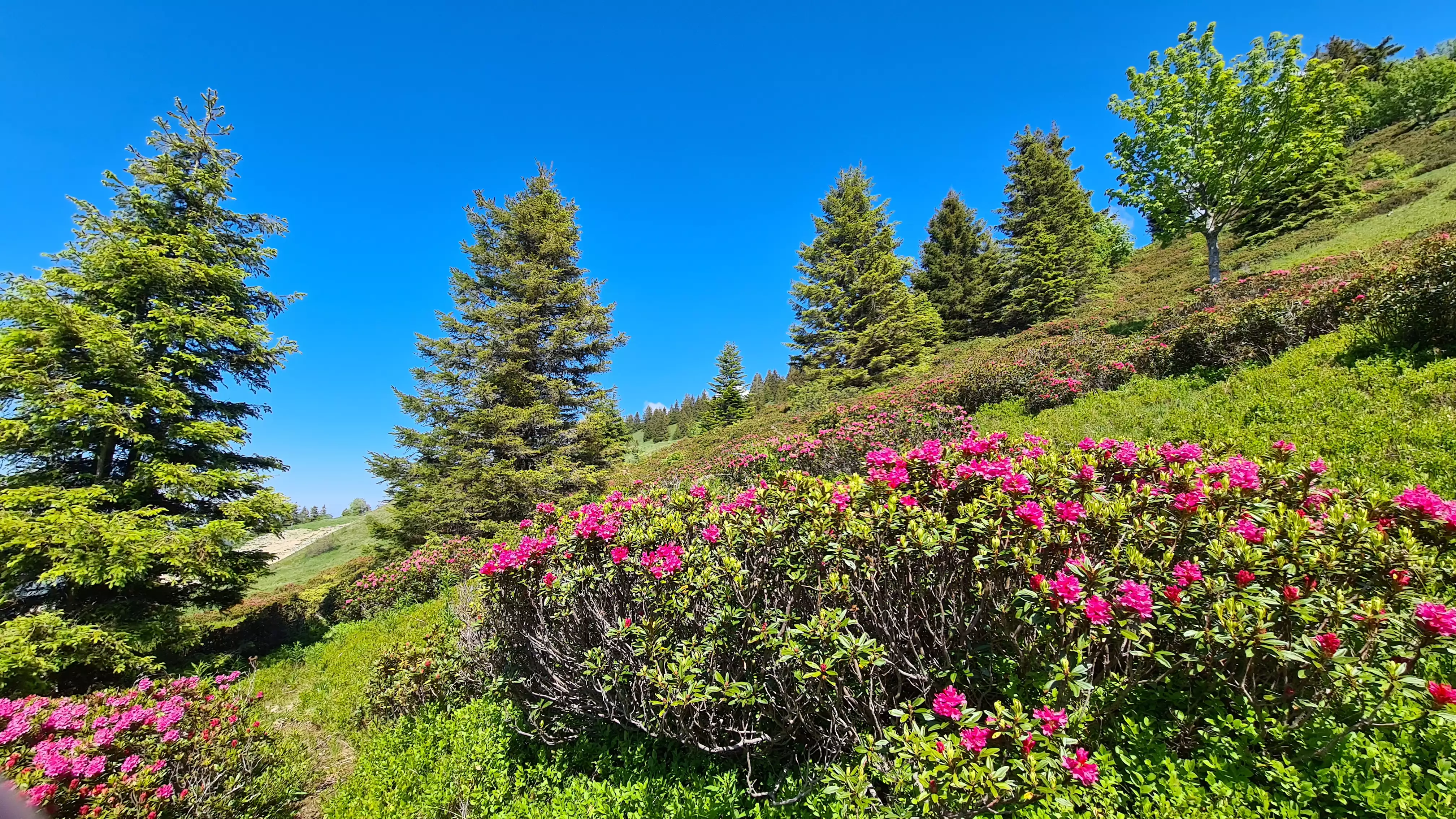 La montagne d'Hirmentaz